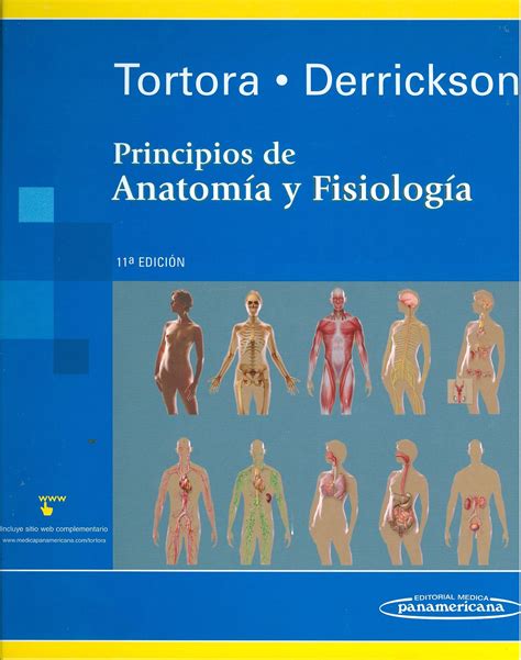 Anatomia Y Fisiologia Humana Tortora 11a Ed Tuclubdefarmacia