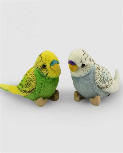 A Pair Of Beautiful Budgie Soft Toys Budgie T Idea Send A Cuddly