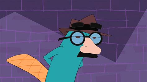 Image - Agent P wearing Groucho glasses.jpg - Phineas and Ferb Wiki