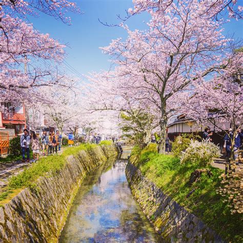 Best Places To Visit In Japan And Other Things You Need To
