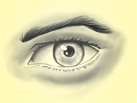 Realistic Eye Drawing At Getdrawings Free Download