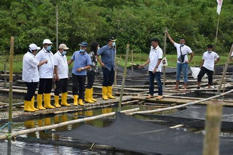 Pertubuhan peladang negeri pulau pinang. Petani disasarkan perolehi pendapatan RM4,000 sebulan ...