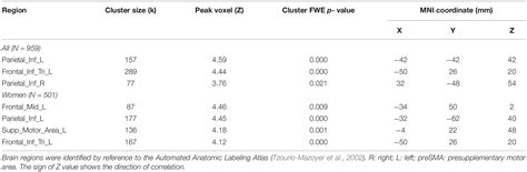 Frontiers Sex Differences In Neural Responses To The Perception Of