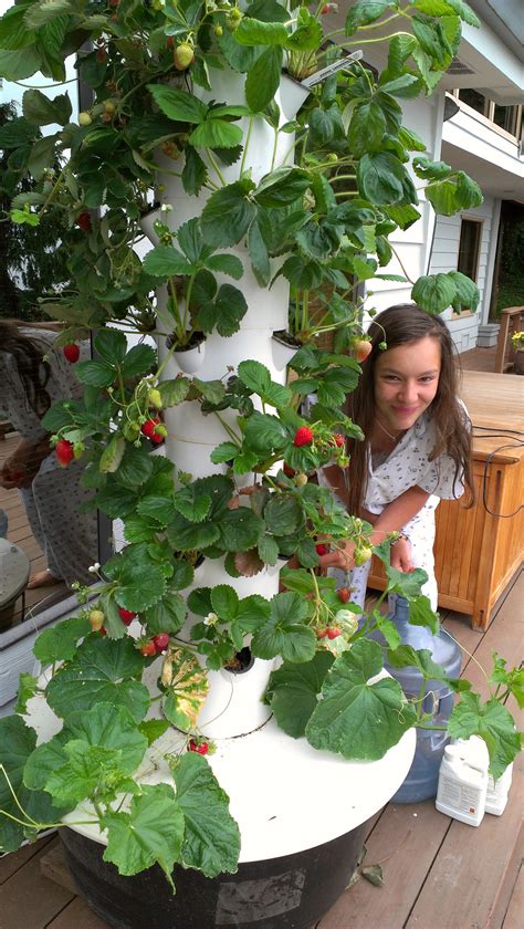 Life With Our Tower Gardens Mitra And Doug Talk About Farming Part 1 Dr Mitra Ray