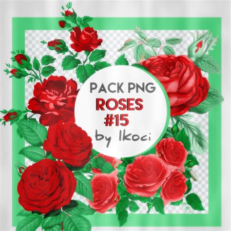 Mega Pack Roses By Ikoci On Deviantart