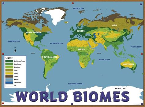 Gallery For World Biome Map Biomes World Mpm School Supplies
