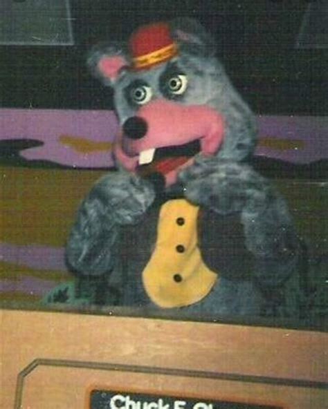 Is It Just Me Or Does He Look Shocked Lol Chuck E Cheeses Amino Amino
