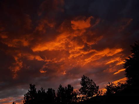 Sky In Fire Clouds Dark Forrest Nature Orange Sunset Woods Hd