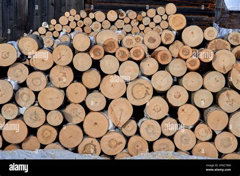 Logs Laid Firewood A Type Of Cross Section Of Round Wooden Logs Of