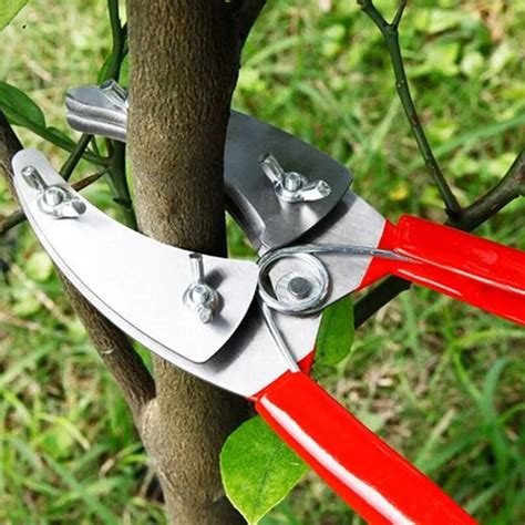 Professional Garden Fruit Tree Ring Cutter Pruning Scissors Ring Shears