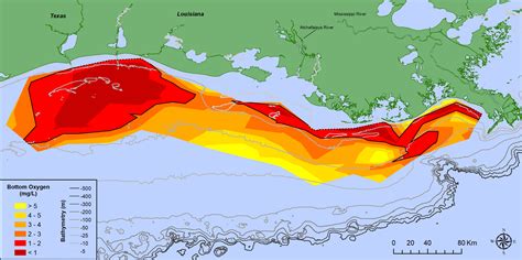 Gulf Hypoxia In The Northern Gulf Of Mexico