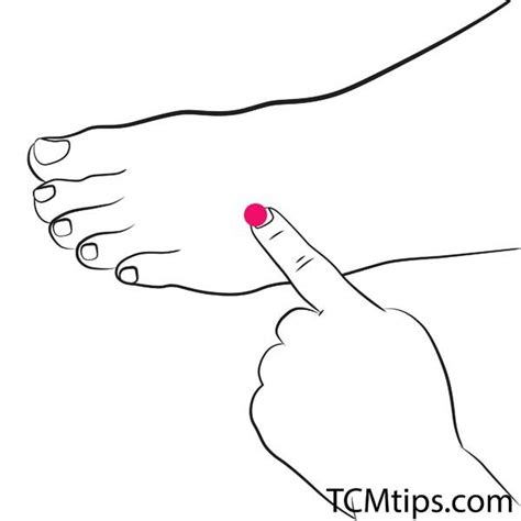 you should learn the inner gate acupuncture point if you are feeling stressed tcm tips artofit