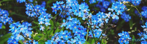 We can hopefully provide it as our website is one of the best choices to. 23 Free LinkedIn Backgrounds and Cover Photos - The Muse