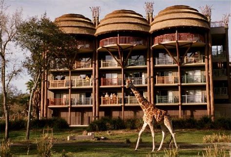 Disneys Animal Kingdom Lodge Orlando Florida Resort Reviews