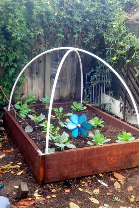 Need to know how to build a greenhouse? Outdoor Portable Greenhouse Kit | Diy garden bed ...