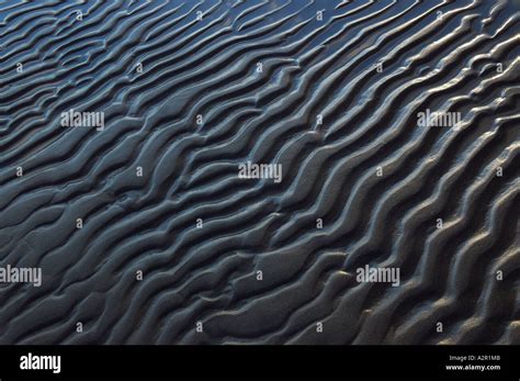 Abstract Wallpaper Of Sand Ripples At Low Tide Singing Sands Provincial
