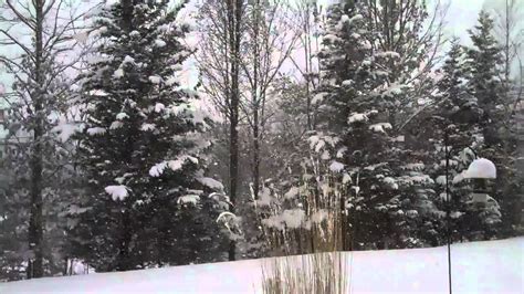 Beautiful Snow Falling Today Jan 8th 2011 Youtube