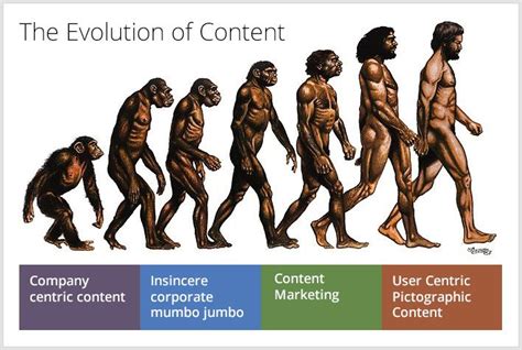 Content Marketing Paradigm Has Shifted Have You Human Evolution