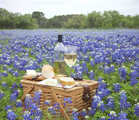 The Best Texas Hill Country Wineries To Visit Winetraveler