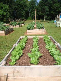 Urban farming or urban homesteading does not sound much better. Our Little Farm | Backyard farming, Raised flower beds ...