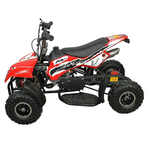 Agrotama Mini Quadriciclo Atv Gasolina 50cc 2t 0km Automático Freio A