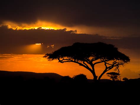 Found on Bing from sunrise.maplogs.com | Serengeti national park