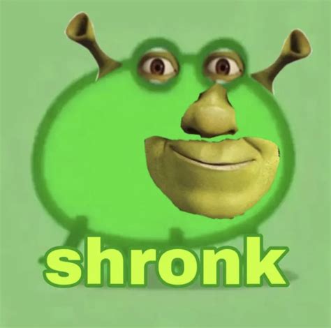 Shrek Memes Meme Pfp Realtec