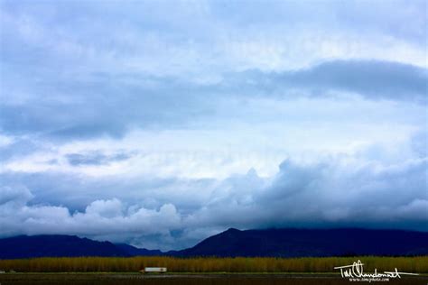 Picture Of Skagit Valley Winter Skagit Valley Natural Landmarks Picture