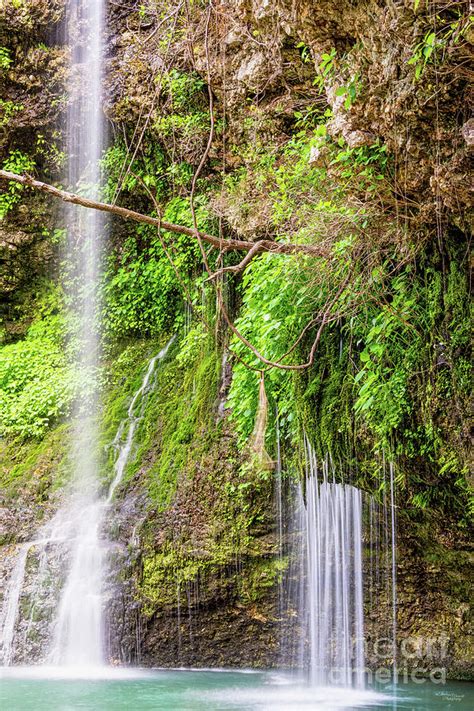 Peace At Dripping Springs Falls Photograph By Jennifer White Pixels