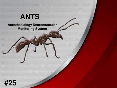 Ppt Ants Powerpoint Presentation Free Download Id1846596