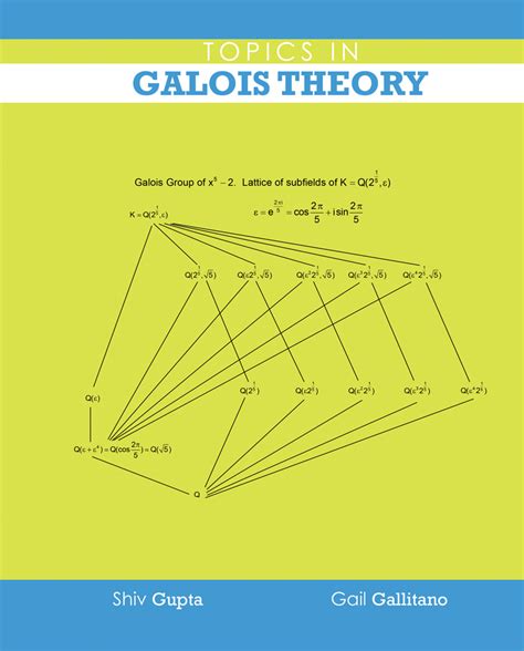 Topics In Galois Theory Higher Education