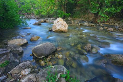 Mountain River In Green Forest Stock Photo Image Of Green Spring