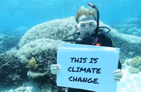 How Climate Change Impacts The Great Barrier Reef Tourism Industry New Scientist