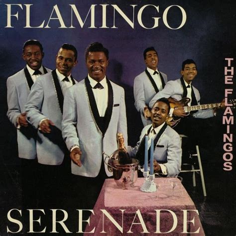 The Flamingos Flamingo Serenade Lyrics And Tracklist Genius