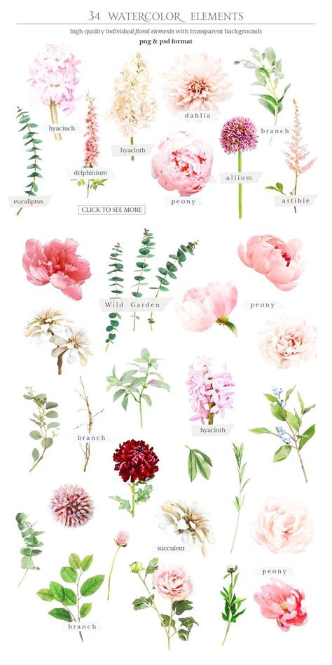 Watercolor Botanical Set Flower Arrangements Flower Guide Flower Names