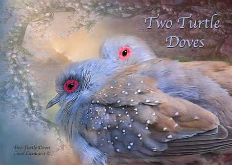 Two Turtle Doves Card Mixed Media By Carol Cavalaris Fine Art America