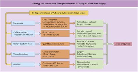 Fever Evaluation Complication And Treatment In Surgical Patients