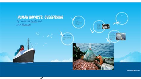 Human Impacts Overfishing By Jack Plourde