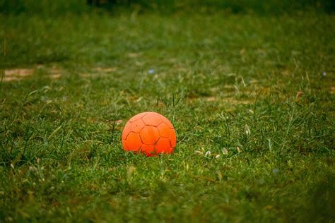 Free Images Grass Football Soccer Ball Orange Lawn Sports