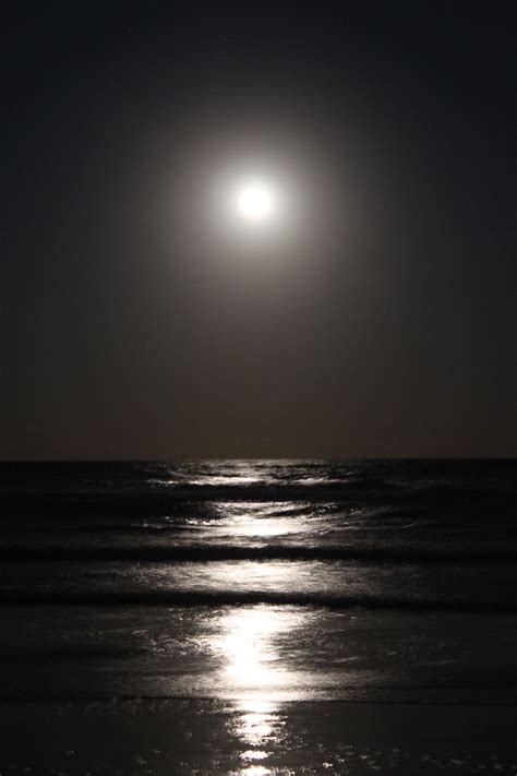 At Night On The Beach At Spi Beach Pictures Cool Pictures