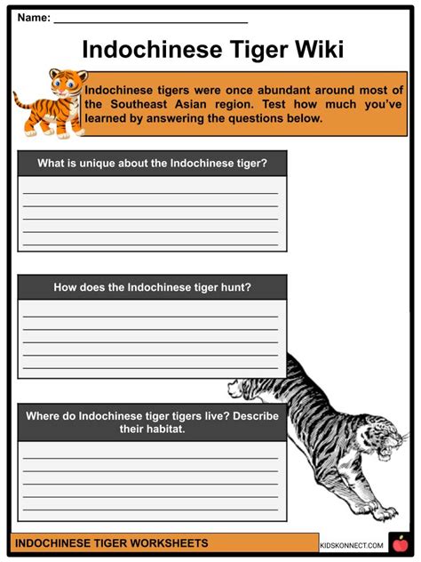 Indochinese Tiger Facts Worksheets Origin And Taxonomy For Kids