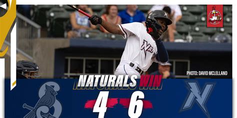 Hern Ndez Homers In Come From Behind Walk Off Win Milb Com