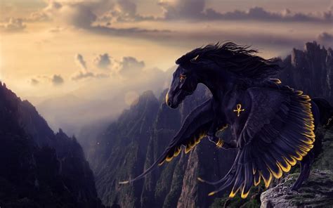 Black Pegasus Digital Wallpaper Fantasy Art Pegasus Hd Wallpaper