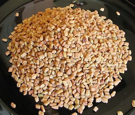 Filefenugreek Methi Seeds Wikimedia Commons