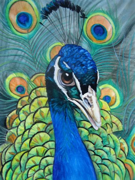 Contemporary Painting Pretty As A Peacock Original Art From Judy