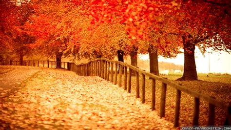 Beautiful Fall Pictures Wallpaper 60 Images