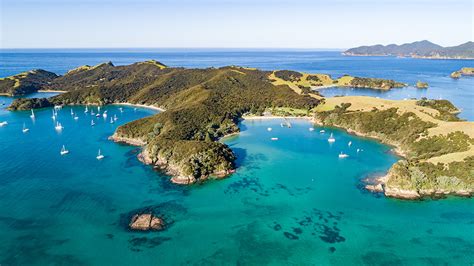 Bookme 50 Off Deals Things To Do In Paihia Russel Bay Of Islands