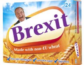 A Collection Of Some Funny Brexit Memes Gallery Ebaums World