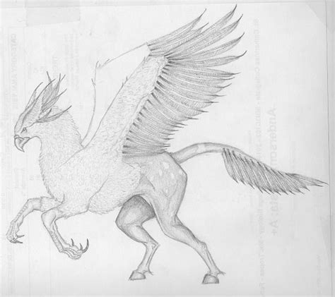 Hippogriff By Thezootycooner14 On Deviantart