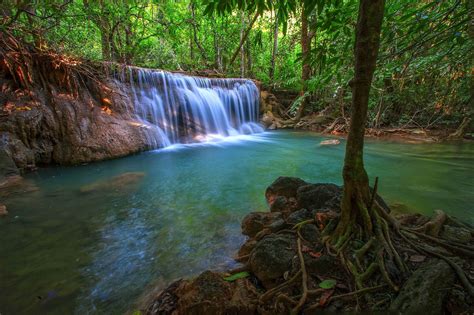 jungle,-forest,-trees,-stream,-waterfall,-rocks,-nature-wallpapers-hd